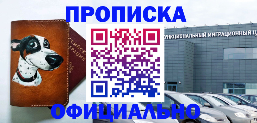 временная прописка в Жердевке